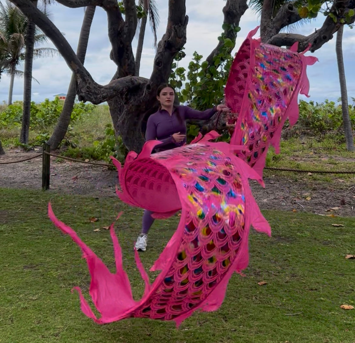 Pink LED Dragon Tail