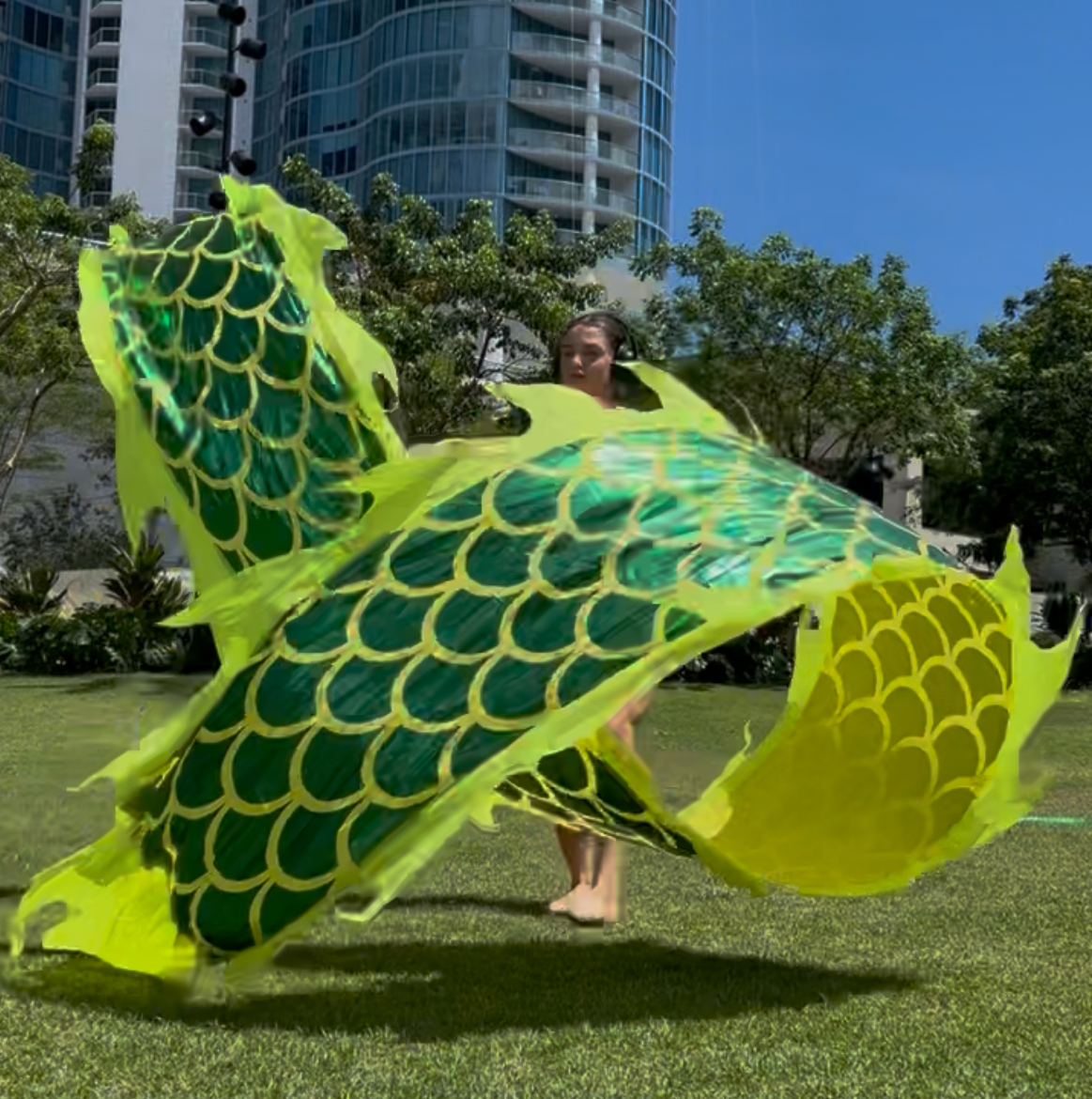 LED Green Dragon Poi Full Kit